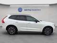 Volvo XC60 XC60 B4 AWD Plus-Dark Aut ACC BLIS Leder AHK Weiß - thumbnail 5