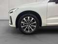 Volvo XC60 XC60 B4 AWD Plus-Dark Aut ACC BLIS Leder AHK Weiß - thumbnail 16