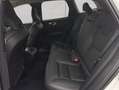 Volvo XC60 XC60 B4 AWD Plus-Dark Aut ACC BLIS Leder AHK Weiß - thumbnail 12