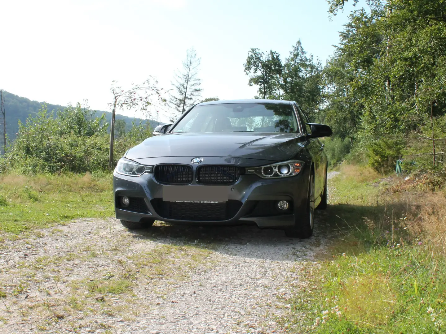 BMW Active Hybrid 3 ActiveHybrid 3 Aut M-Paket F30 N55 Gris - 2