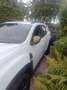 Dacia Duster Duster Extrême TCE150 automatique Blanc - thumbnail 21