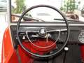 Volkswagen Buggy Rot - thumbnail 6