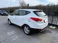 Hyundai iX35 iX35 FCEV Wasserstoff 100 kW Weiß - thumbnail 11