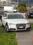 Audi A6 allroad 3.0 TDI 245 CV business plus clean diesel EU 6 White - thumbnail 10