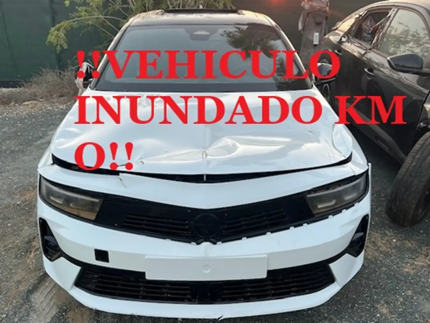 Opel Astra Electric 54kWh GS 156 Blanco - 1