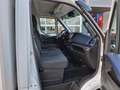 Iveco Daily 35C18 Kuhlkoffer Carrier -25C/+25C Multitemp Euro Blanc - thumbnail 14