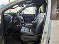 Ford Ranger Wildtrak e-4WD+AHZV+iACC+BLIS+LED+B&O+NAV White - thumbnail 12