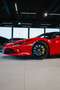 Ferrari F8 Spider F8 Spider *NOVITEC / SERVICEPAKET BIS 05/2029!* Rot - thumbnail 19