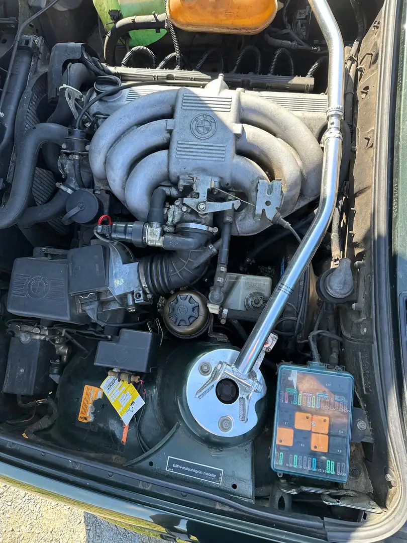 BMW 325 325i Grün - 2