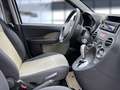 Fiat Panda 1.2 8V Dynamic HU neu/Service neu Weiß - thumbnail 22