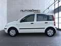 Fiat Panda 1.2 8V Dynamic HU neu/Service neu Weiß - thumbnail 9