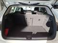Volkswagen Golf VIII 1.5TSI Goal AHK Navi LED Weiß - thumbnail 7