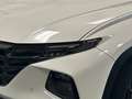 Hyundai TUCSON NX4 Trend Line PLUS 1,6 CRDi 4WD 48V DCT Weiß - thumbnail 5
