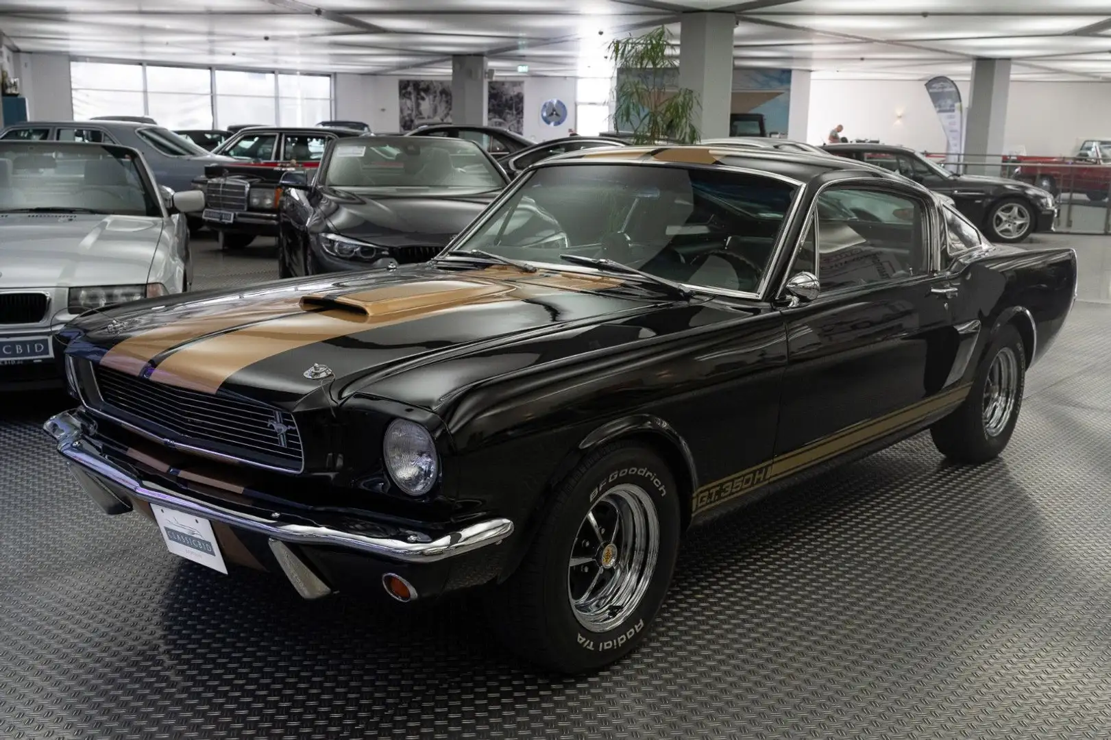 Ford Mustang Shelby Mustang GT350-H Black - 1