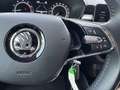 Skoda Fabia 1.0 Ambition // LED // CLIMA // CRUISE CONTROL // Grigio - thumbnail 14
