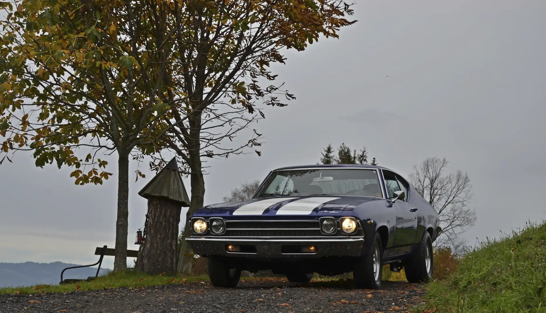 Chevrolet Chevelle Malibu Blau - 1