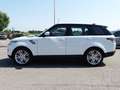 Land Rover Range Rover Sport Range Rover Sport  3.0 tdV6 HSE auto Bianco - thumbnail 3