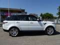Land Rover Range Rover Sport Range Rover Sport  3.0 tdV6 HSE auto Bianco - thumbnail 5