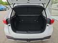 MG ZS 1.5 Hybrid+ Luxury *Winterkompletträder KOSTENLOS* Weiß - thumbnail 15