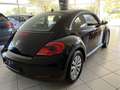 Volkswagen Beetle 1Hd+VW/Scheckheft/HU-Neu/Allwetter Schwarz - thumbnail 4