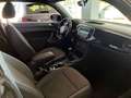 Volkswagen Beetle 1Hd+VW/Scheckheft/HU-Neu/Allwetter Schwarz - thumbnail 7