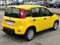 Fiat Panda 1.0 FireFly S&S Hybrid Pandina Gelb - thumbnail 5