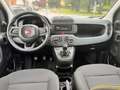 Fiat Panda 1.0 FireFly S&S Hybrid Pandina Gelb - thumbnail 11