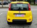 Fiat Panda 1.0 FireFly S&S Hybrid Pandina Gelb - thumbnail 4