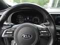 Kia Sportage Sportage 1.6 CRDI 136 CV DCT7 AWD Mild Hybrid GT Bianco - thumbnail 15