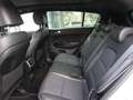 Kia Sportage Sportage 1.6 CRDI 136 CV DCT7 AWD Mild Hybrid GT Bianco - thumbnail 10