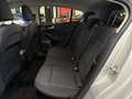 Ford Focus Focus Active Active 1.0 ecoboost s Argento - thumbnail 12