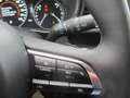 Mazda CX-30 /G140/AT/Centre-Line Grau - thumbnail 15