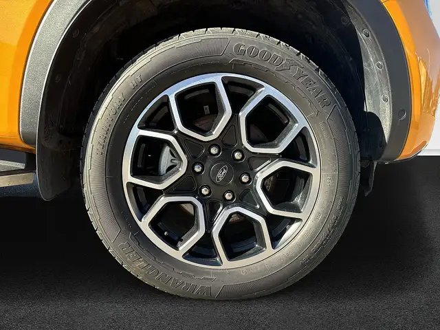 Ford Ranger Ranger Doppelkabine Wildtrak 4x4 2,0 EcoBlue Au... Ansicht 4