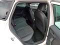 SEAT Ibiza 1.0 TGI FR  ACC|NAVI|LED|FullLink|ab4,99% Weiß - thumbnail 5