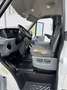 Ford Transit Ford Pritsche DK FT 350 L 2,2 TDCi. - thumbnail 15
