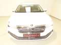 Skoda Superb Skoda SUPERB Combi Style TDI DSG   AHK Weiß - thumbnail 3