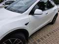 Tesla Model Y AHK, Mwst .ausw, KONI Komfort .Long Range Dual AWD Белый - thumbnail 5