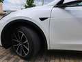 Tesla Model Y AHK, Mwst .ausw, KONI Komfort .Long Range Dual AWD Белый - thumbnail 9