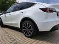 Tesla Model Y AHK, Mwst .ausw, KONI Komfort .Long Range Dual AWD Белый - thumbnail 10