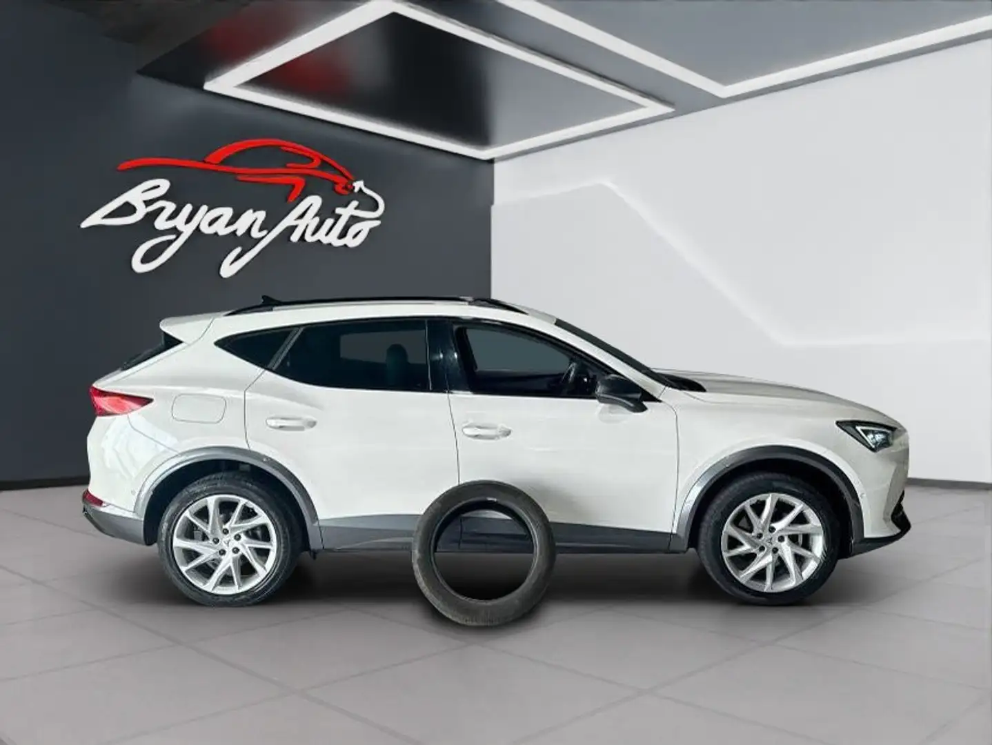 CUPRA Formentor 2.0 tdi 150cv - 1