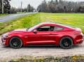 Ford Mustang Fastback V8 5.0 GT Rouge - thumbnail 5