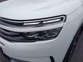 Citroen C5 Aircross Pure Tech 130 Feel Pack Weiß - thumbnail 8