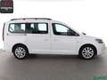 Volkswagen Caddy Caddy Maxi 2.0 TDI 7 SITZE NAVI,ACC,LED,1.HAND White - thumbnail 6