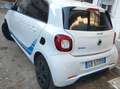 smart forFour Forfour 0.9 t Brabus Style 90cv twinamic Bianco - thumbnail 3