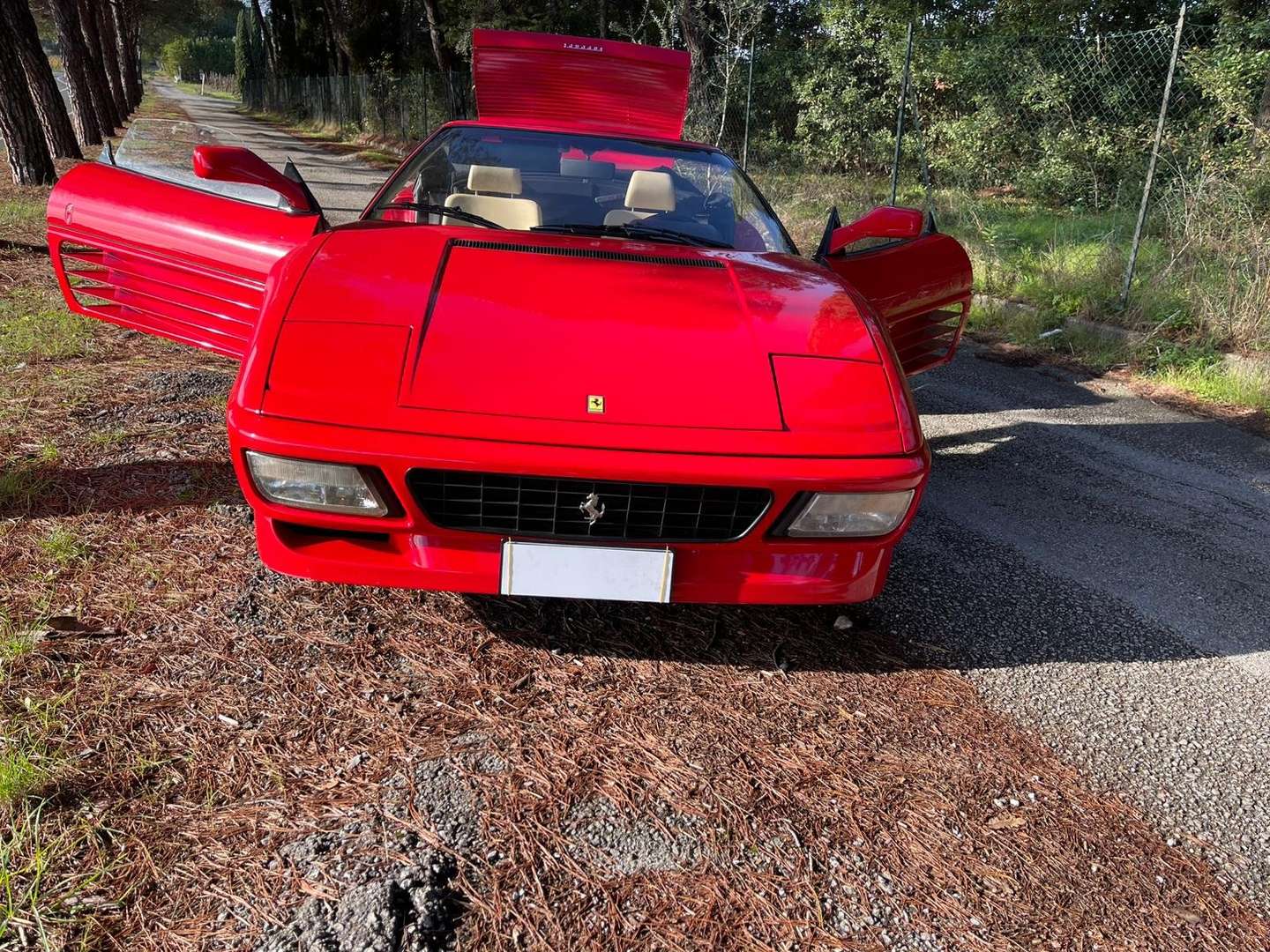 Ferrari 348 - - Joinsteer - #5