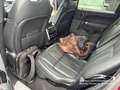 Land Rover Range Rover Sport 3.0d i6 mhev HSE 249cv auto Rosso - thumbnail 7