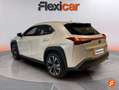 Lexus UX 250h Premium 4WD Blanco - thumbnail 7