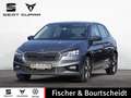 Skoda Fabia 1.5 TSI Ambition DSG APP LED VIRT SHZ P Grau - thumbnail 1