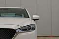 Mazda 6 2.5i SKYACTIV-G Skycruise Takumi l Open Dak White - thumbnail 6