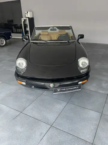 Alfa Romeo Spider Original Lack!!!